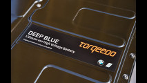 BMW i insieme a Torqueedo