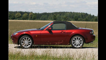 Von 160 bis 313 PS
