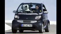 Smart-Sondermodelle