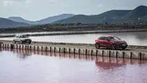 SEAT Ibiza I & V