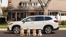 Subaru Dog Commercials