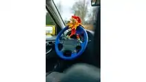 VW Polo Harlekin (2021) Niederlande