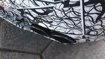 Mercedes-AMG A45-Screenshot aus einem Spionvideo