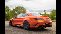 Extrovertierte Breitbau-Orange