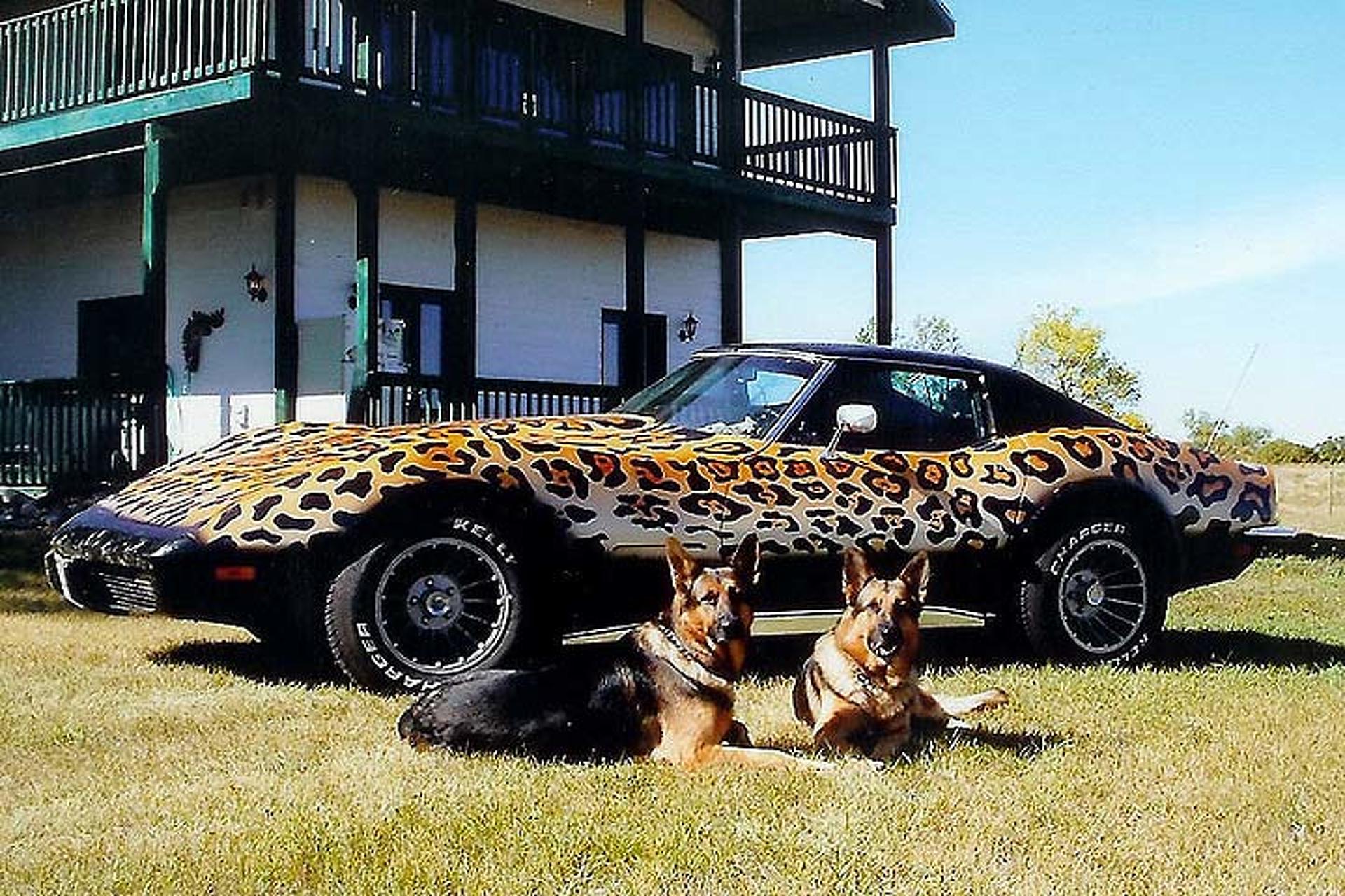 Forget the Stingray, This Corvette is a Jaguar!