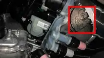 Tesla Octovalve: The Video Sandy Munro Is Yet To Shoot On Model Y Teadown Process