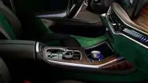 BMW X7 xDrive40d by Poldo Dog Couture