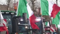 Proteste di agricoltori e trattori crescono in tutta Europa