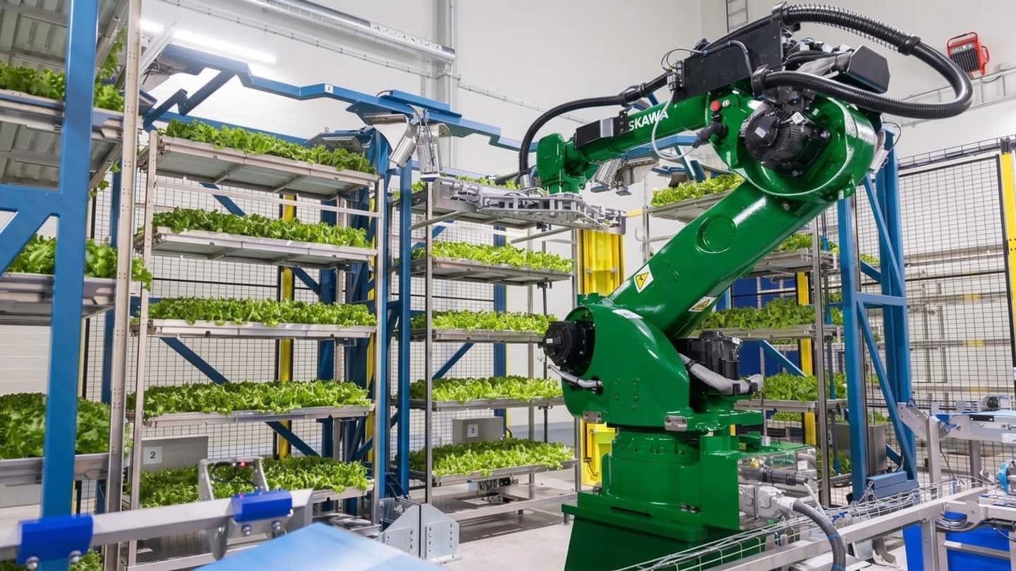 Planet Farms, piattaforma di agricoltura verticale e automazione