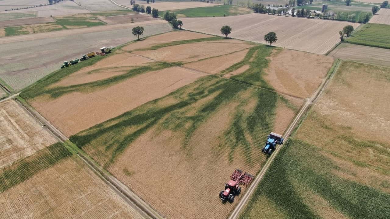 crisi-climatica-fino-a-30-miliardi-lanno-bruciati-nei-campi-cosi-calo-rese-e-cal