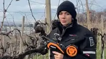 PELLENC F3X: legatrici professionali per viticoltura provate da Giulia Tonello