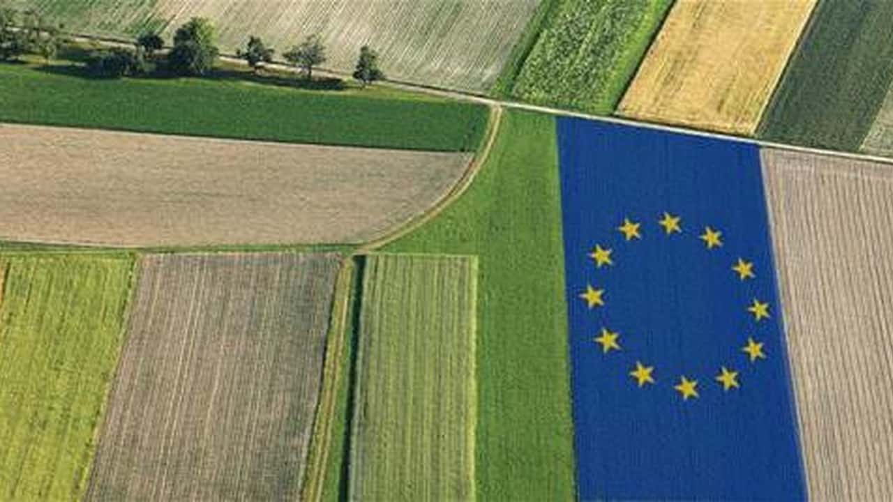 Agricoltura europea tra dazi e mercati globali