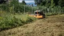 FAE trincia a martelli mobili PMM/RCU75