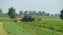 Fendt 313 Vario Profi: TEST CLASSIC