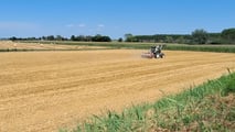 Strip till per soia: preparare il letto di semina solo in fila