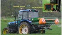 Potassio in soia 2026: strategie K-Mg per resa, noduli e stress