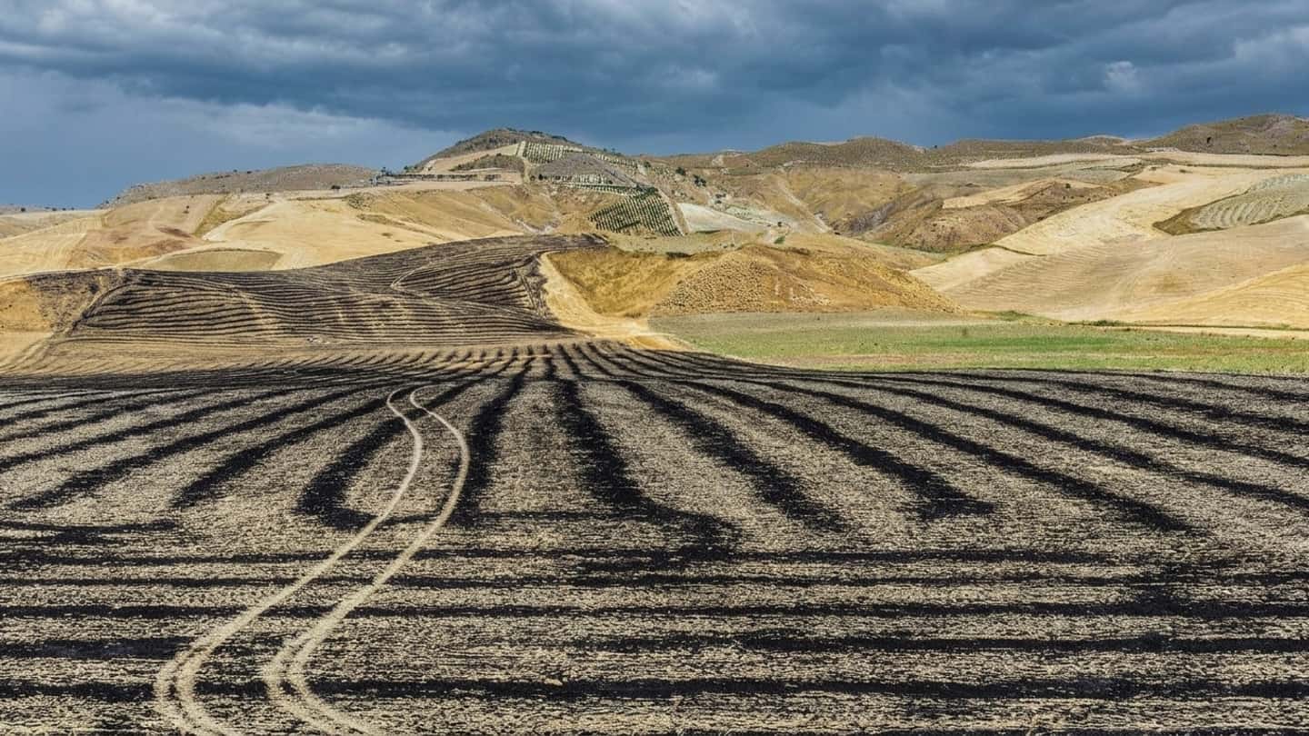 Incendi 2025, 40% dei roghi su terreni agricoli