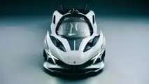 Apollo EVO (2026) Caribbean Dragon