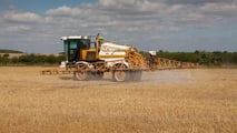 Glifosato Bayer e Corte Suprema USA: cosa cambia in Europa
