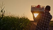 La riforma TFR 2026 non ha un regime dedicato per i contratti a termine: ecco le incertezze su stagionali, intermittenti e operai agricoli