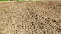 AGRO-MASZ: coltivatore ad ancore RUNNER 40