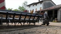 Ingrassaggio dell'erpice rotante con Giulia in campo