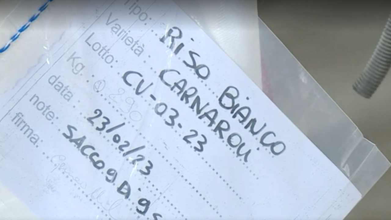 Riso e siccità: interviene l'Ente Risi col protocollo d'azione