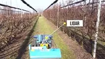 Fieldrobotics: Hammerhead, il robor per vigneto a Enovitis in Campo 2024