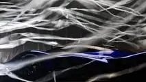Red Bull RB17