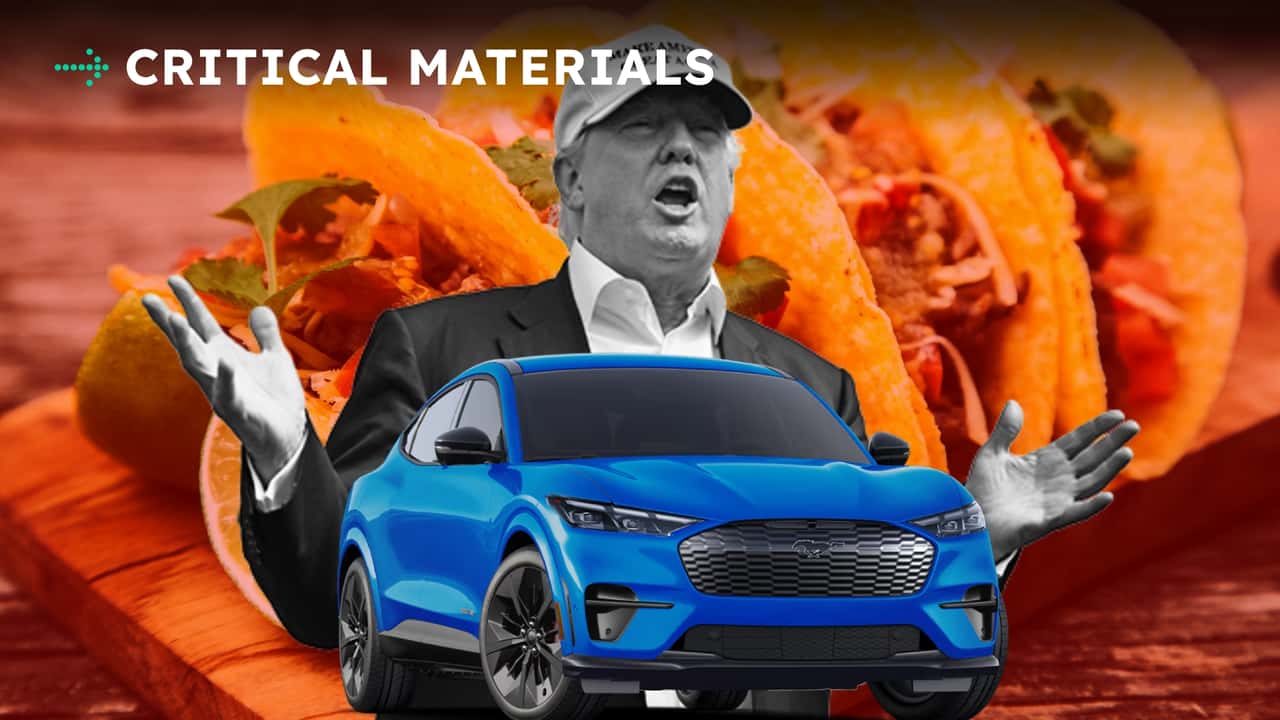 CM Taco Trump