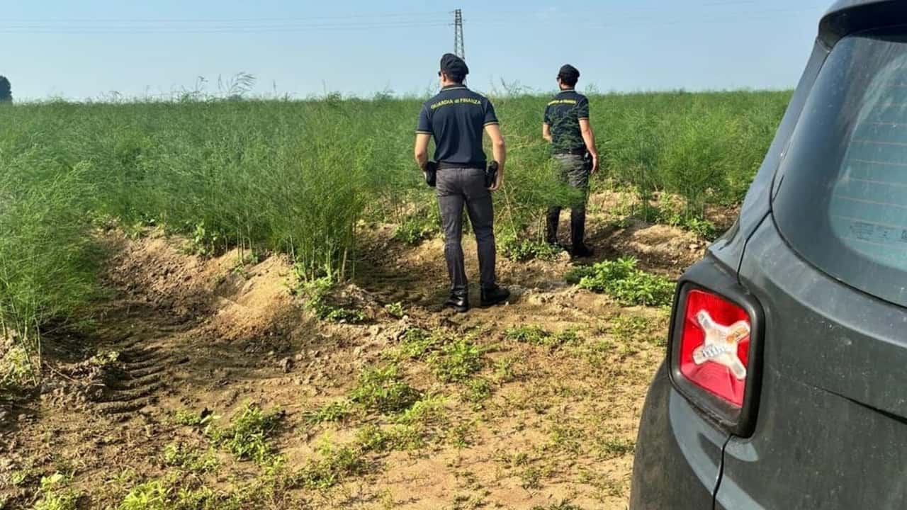 Nuove regole per le verifiche fiscali: cosa cambia per le aziende agricole
