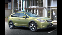 Sport-SUV mit Hybridantrieb