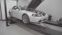 2003 Ford Mustang Cobra Dyno Video