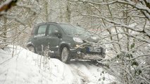 2012: Fiat Panda III 4x4