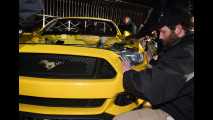 Ford Mustang GT 50 Year Edition