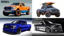 The Ford F Series in many flavors