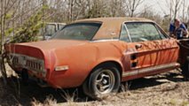 1967 Ford Shelby GT500 EXP 