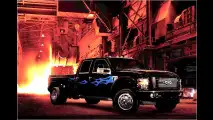 Schlangenhaut-Pick-up
