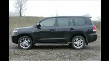 Japanischer Kraxler