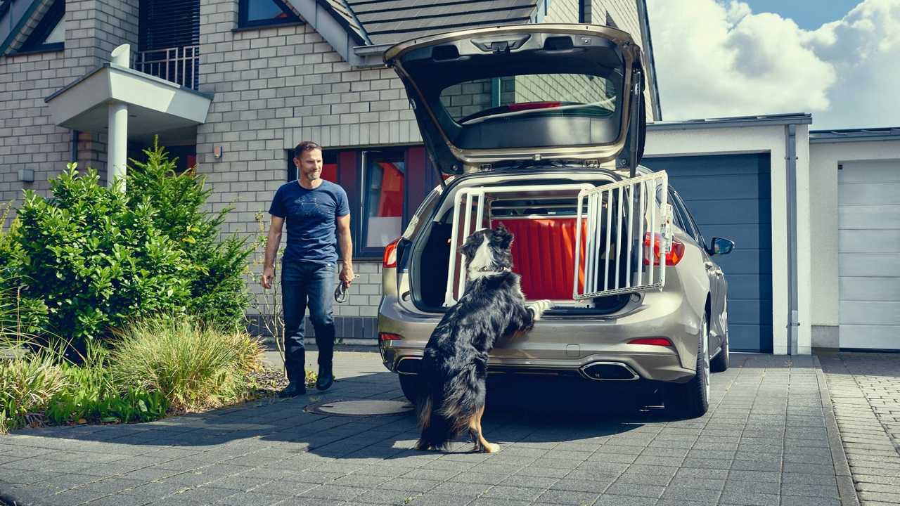 Ford Dogbox