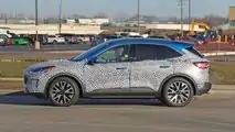 Ford Kuga (2020) Erlkönig
