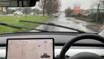 Do The Tesla Model 3 And Model Y Share The Same Unusual Windshield?