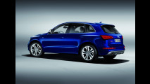 Audi SQ5 TDI