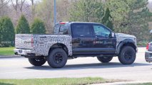 Raptor R