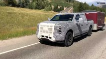 2020 Ford F-150 Casus Fotoğraflar