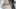 Bentley Bentayga First Edition First Edition