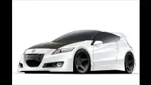Hybridsportler
