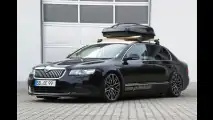 Schwarze Witwe siegt
