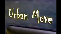 Urbaner Löwe