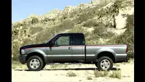 Schlangenhaut-Pick-up